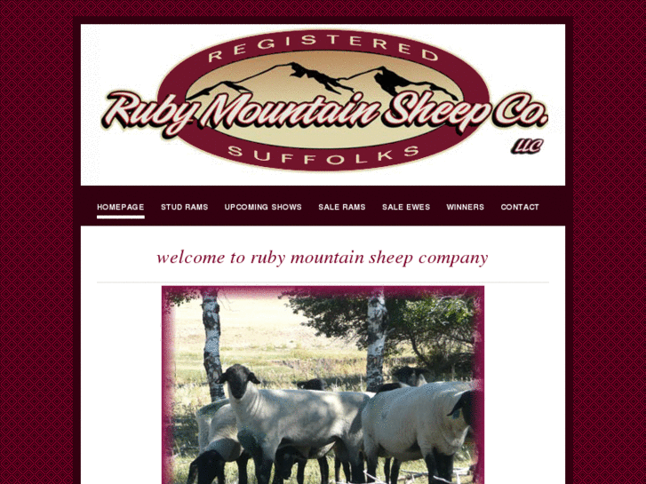 www.rubymountainsheepco.com