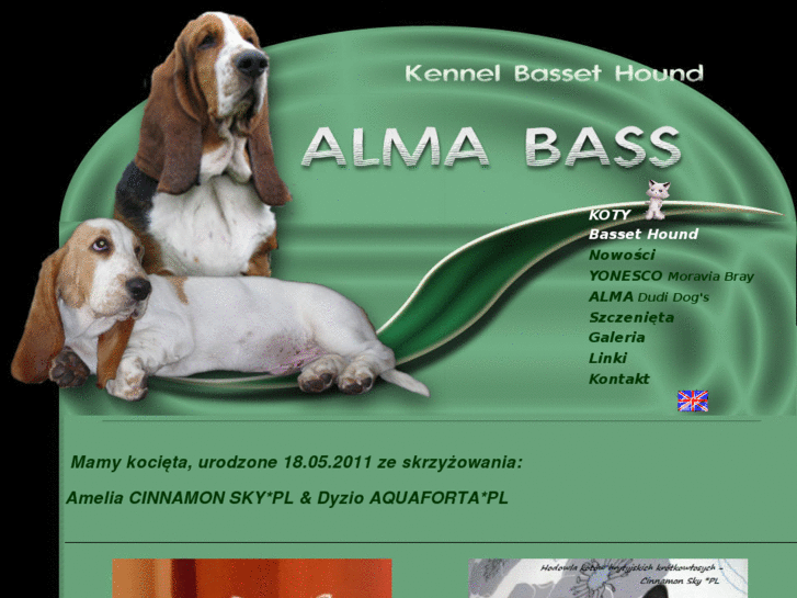 www.almabass.pl