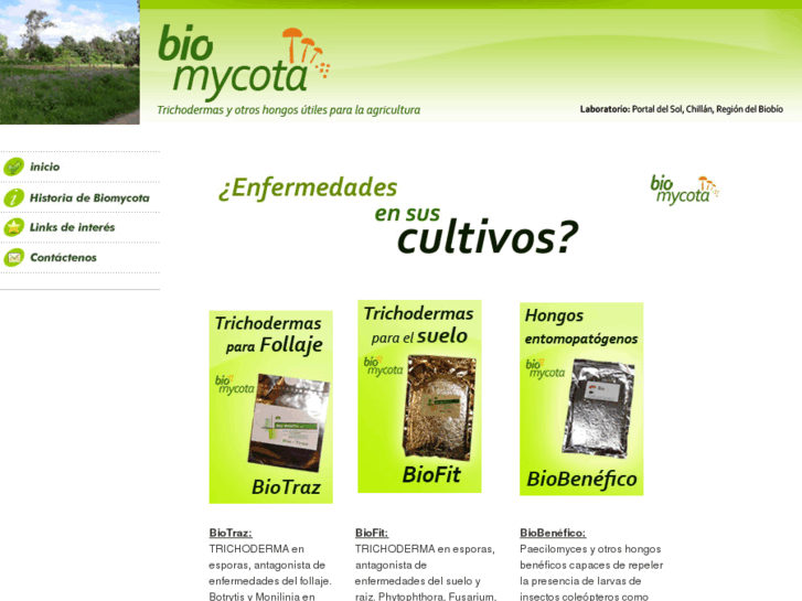 www.biomycota.com