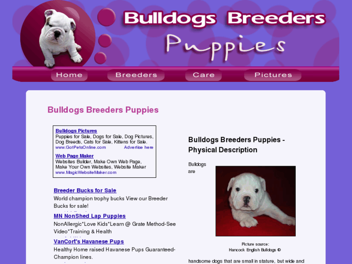 www.bulldog-breeders-puppies.com