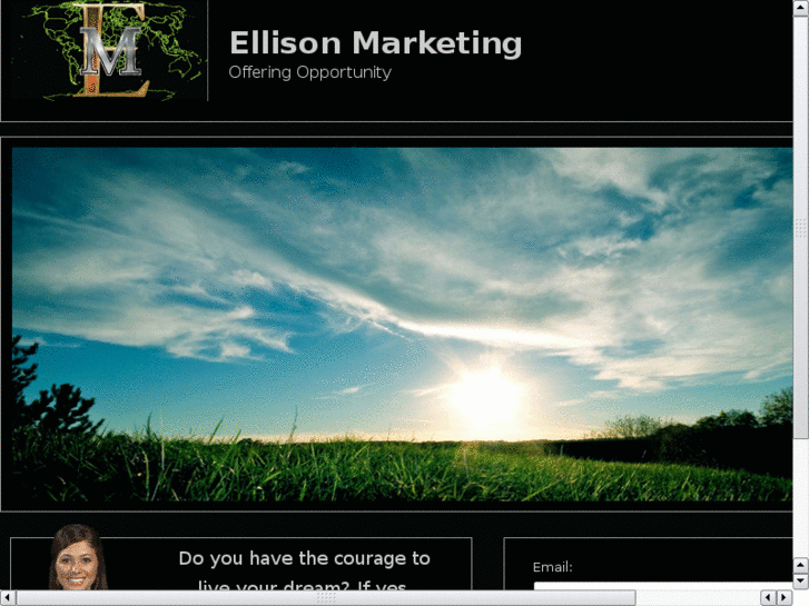 www.ellisonmarketing.com