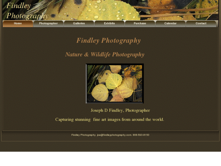 www.findleyphotography.com