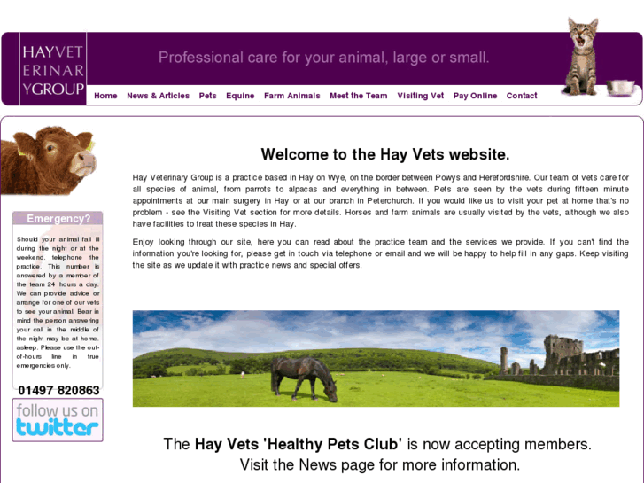 www.hayvets.co.uk