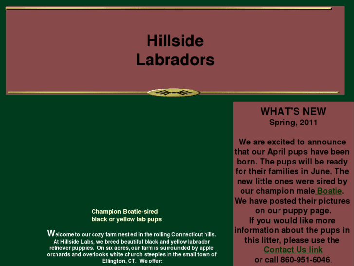 www.hillsidelabs.com