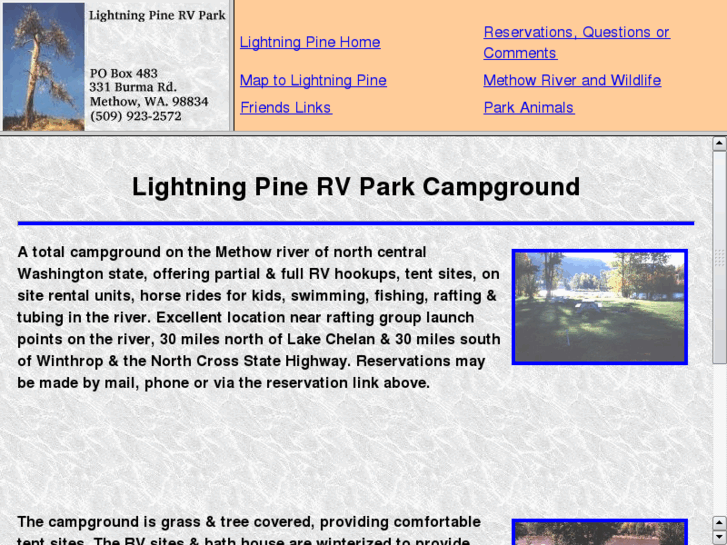 www.lightningpine.com