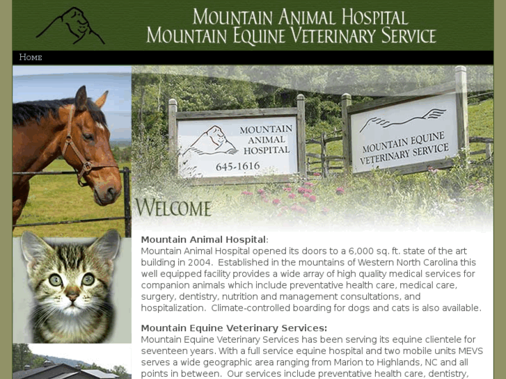 www.mountainanimalhospital.com