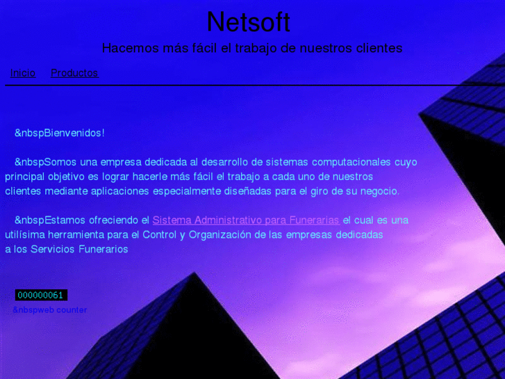 www.netsofttx.com