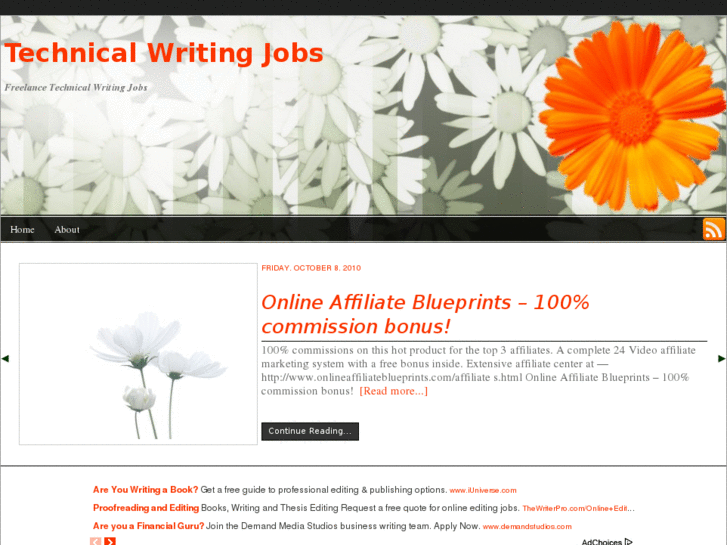 www.technicalwritingjobs.org