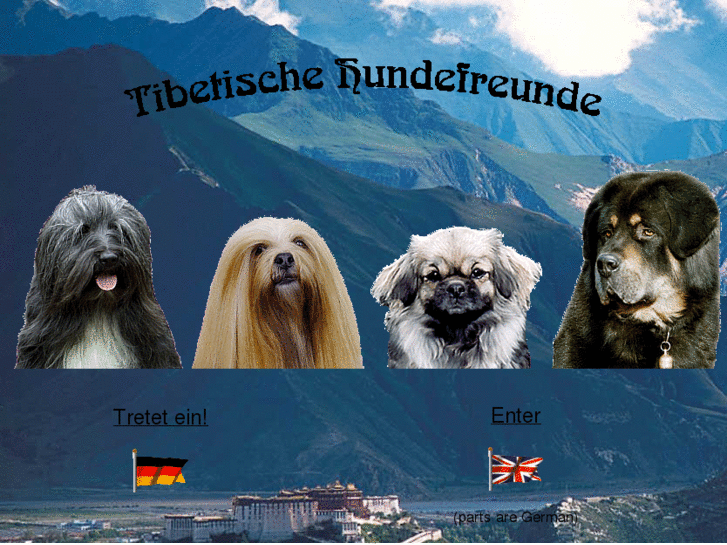 www.tibet-dogs.com