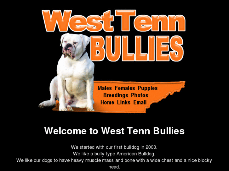 www.westtennbullies.com