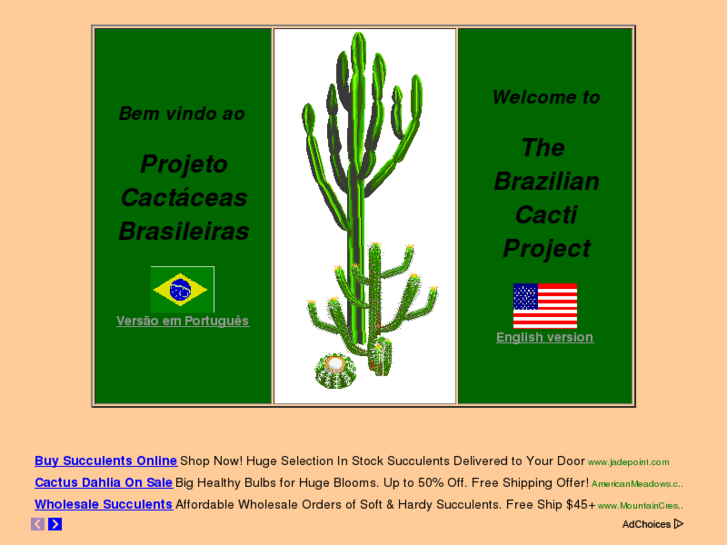 www.brcactaceae.org