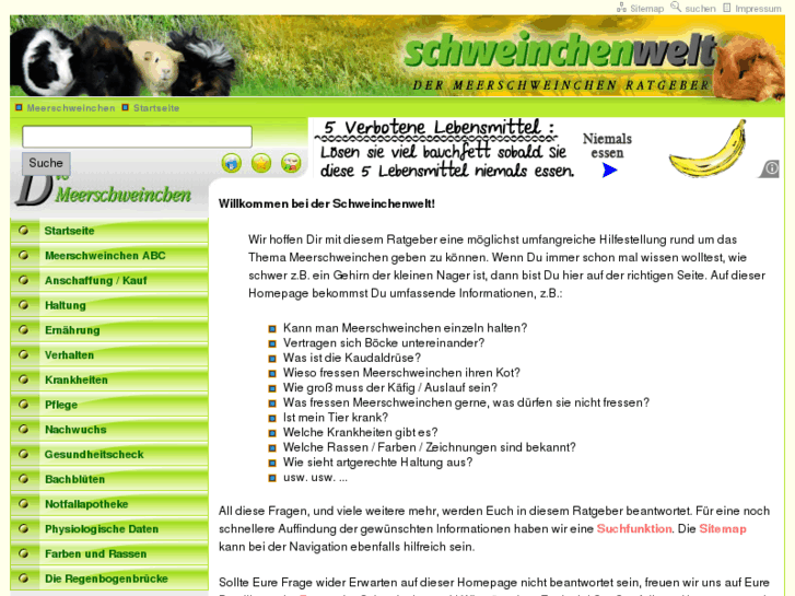 www.meerschweinchen-ratgeber.de