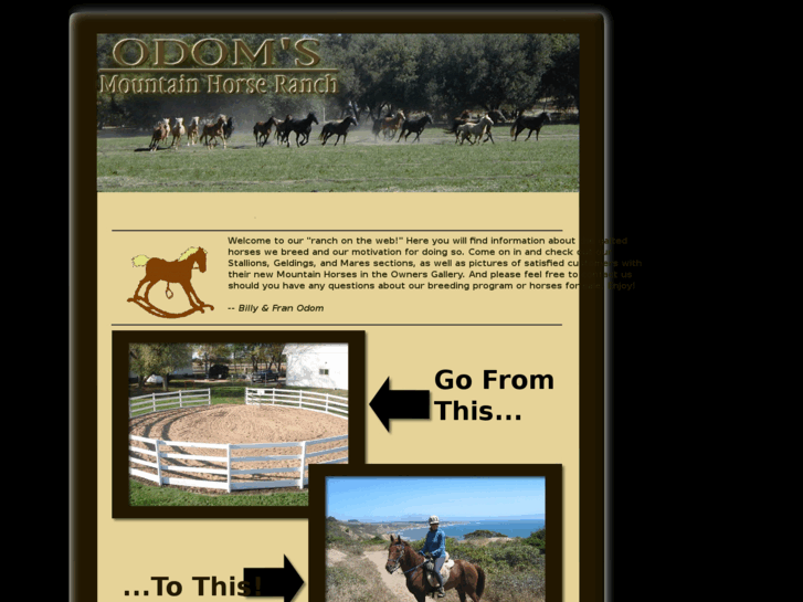 www.odomsmountainhorses.com