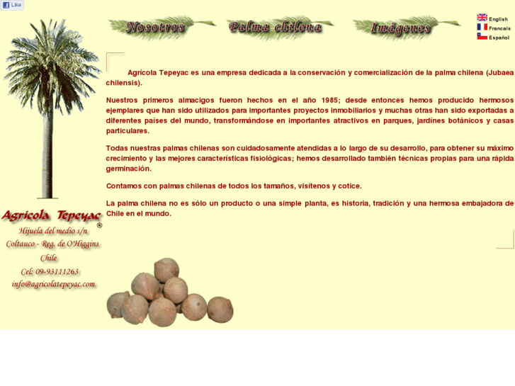 www.agricolatepeyac.com