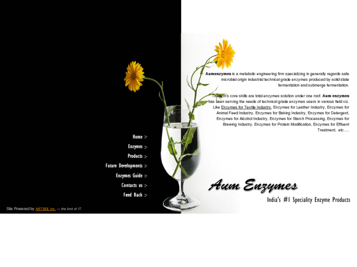 www.aumenzymes.com