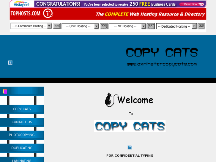 www.axminstercopycats.com