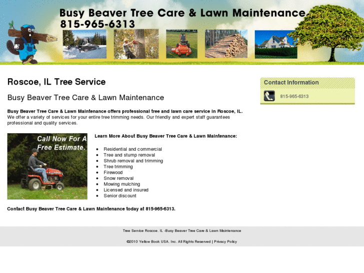 www.busybeavertreecare-il.com