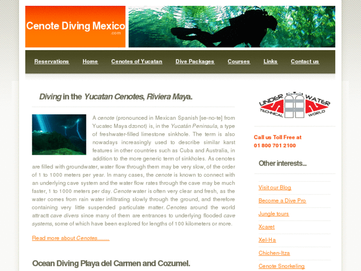 www.cenotedivingmexico.com