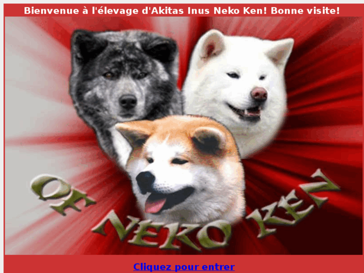 www.nekoken.fr