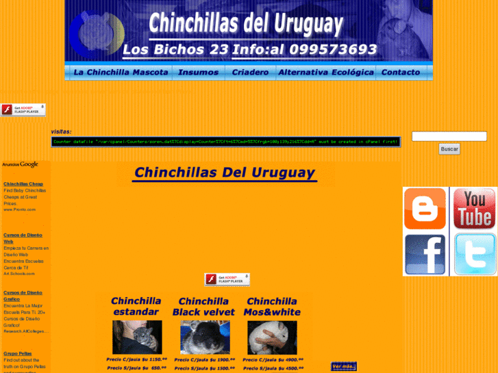 www.chinchillasdeluruguay.com