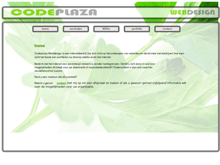 www.codeplaza.com