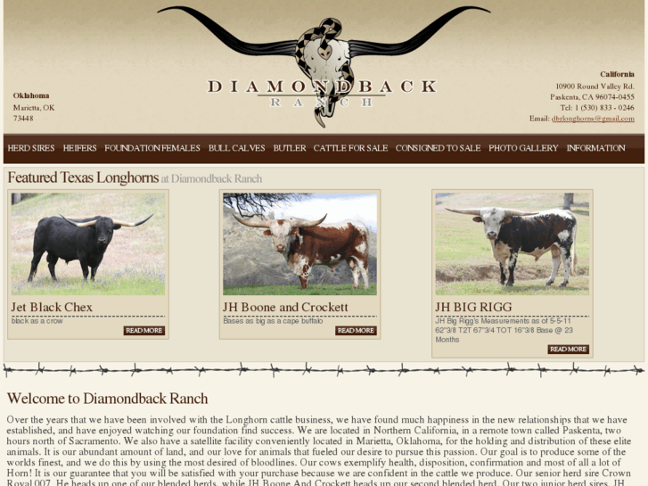 www.dbrlonghorns.com