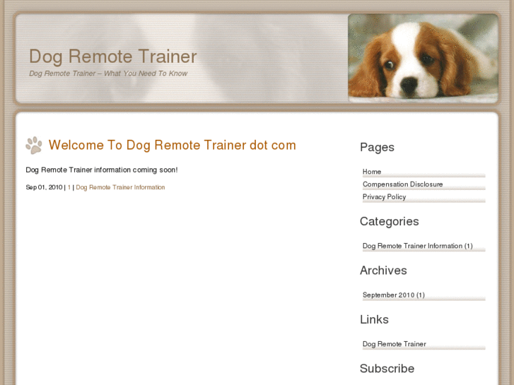 www.dogremotetrainer.com