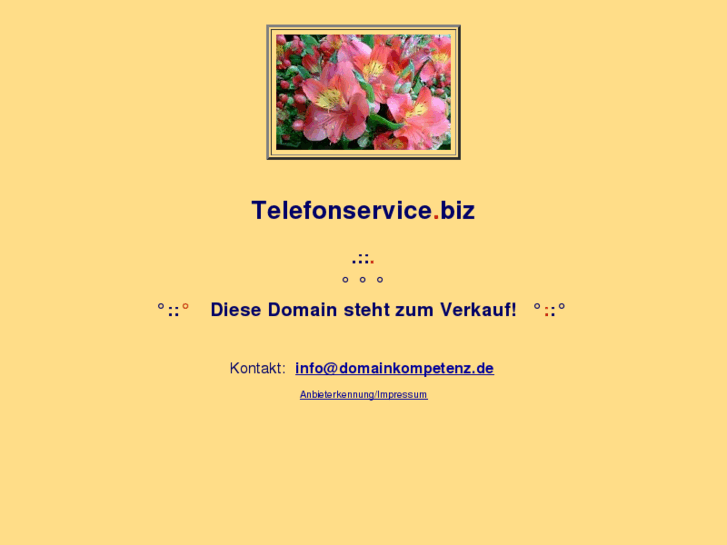 www.telefonservice.biz