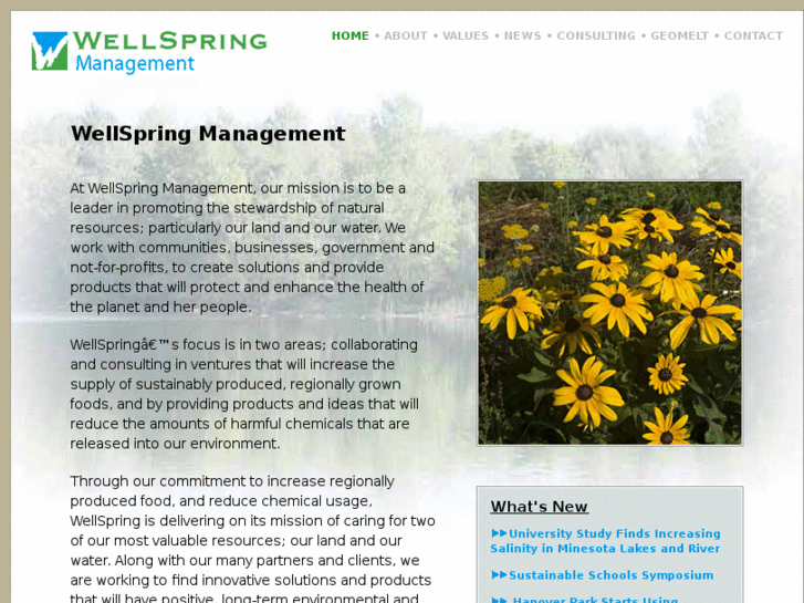 www.wellspringltd.com