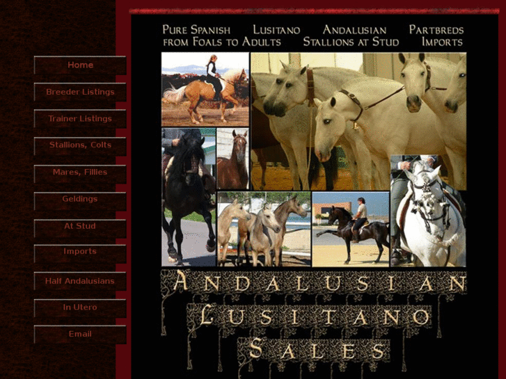 www.andalusiansales.com