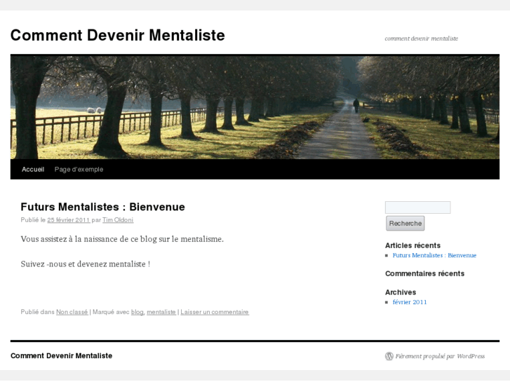 www.commentdevenirmentaliste.com