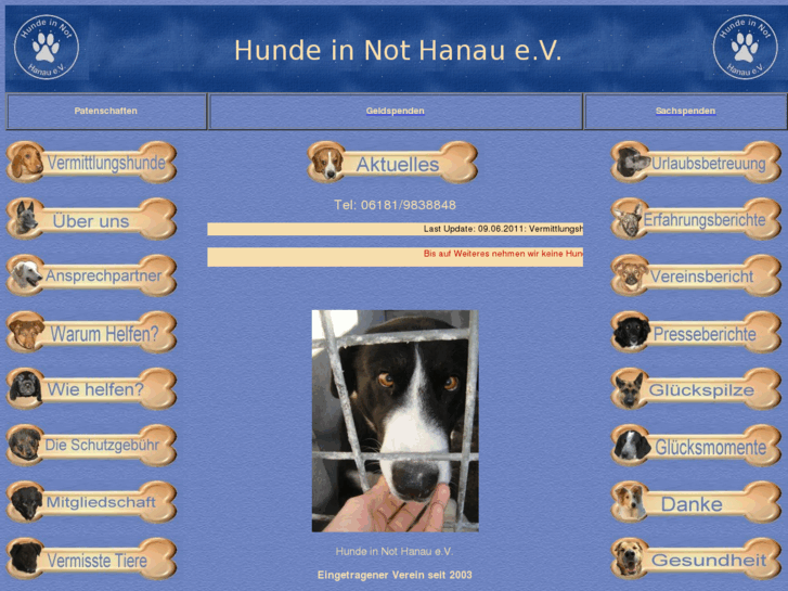 www.hunde-in-not-hanau.de