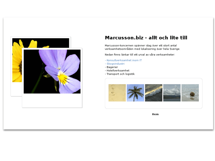 www.marcusson.biz