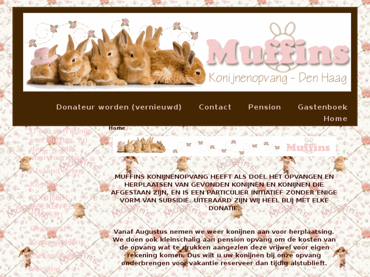 www.muffinskonijnenopvang.nl