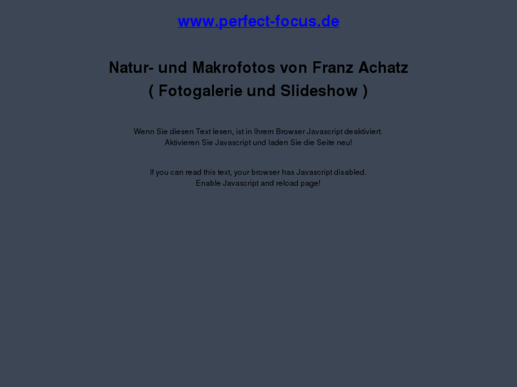 www.perfect-focus.com