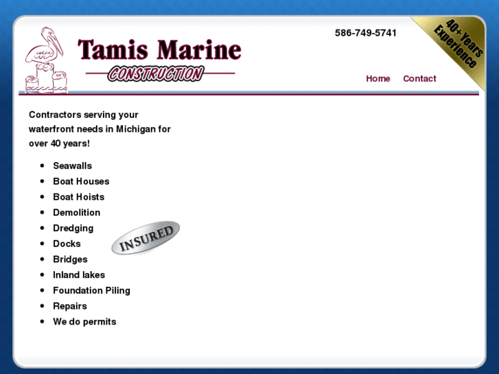 www.tamismarineconstruction.com