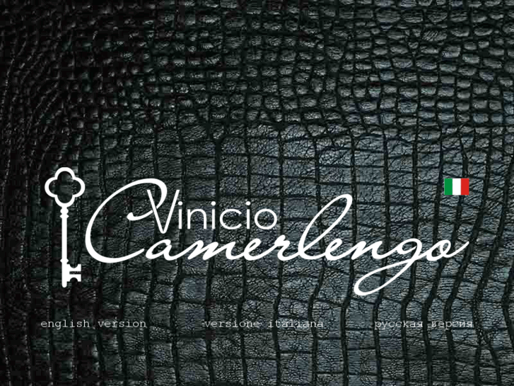 www.viniciocamerlengo.com