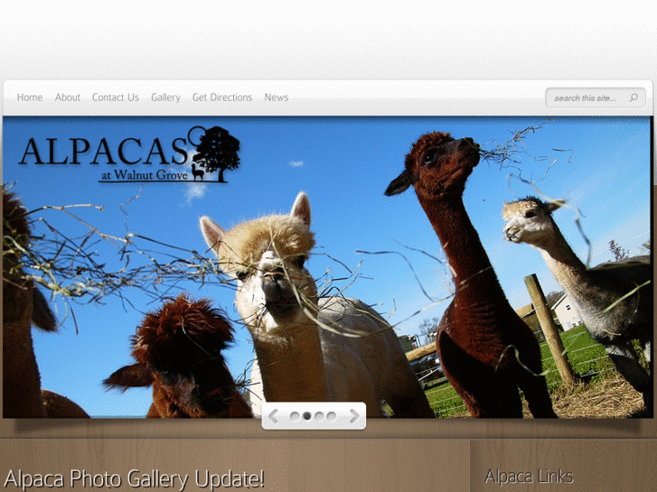 www.alpacasatwalnutgrove.com