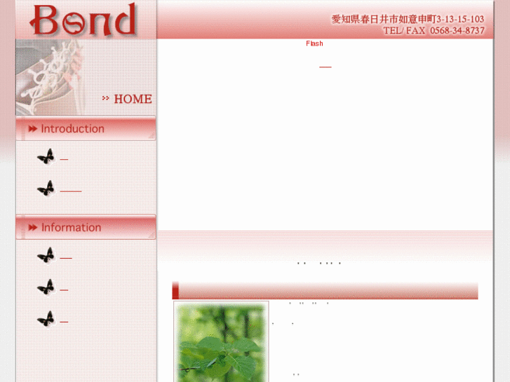 www.bond-kizuna.com