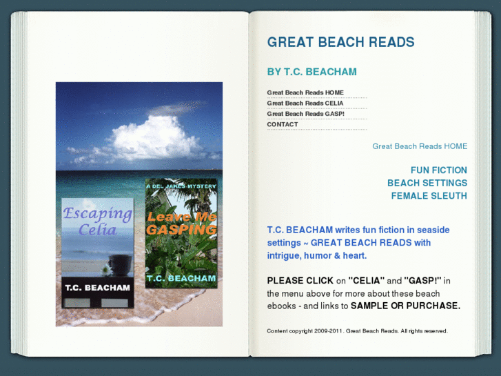 www.greatbeachreads.com