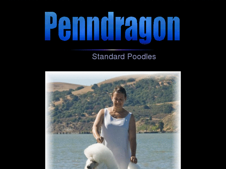 www.penndragonpoodles.com