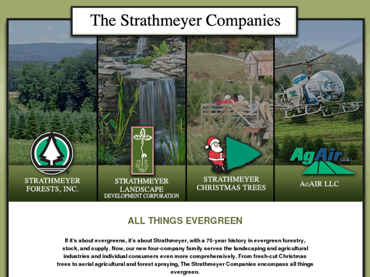 www.strathmeyer.com