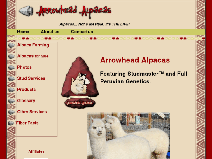 www.arrowhead-alpacas.com