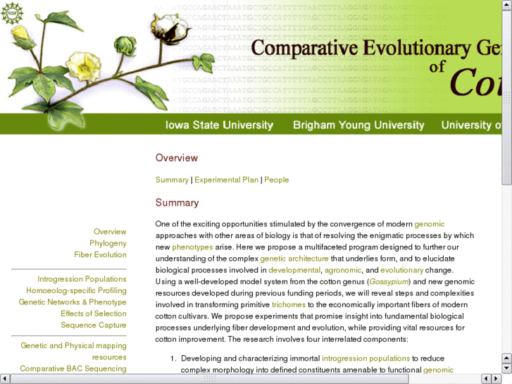 www.cottonevolution.info