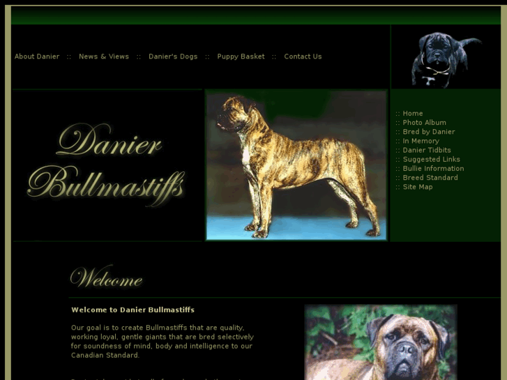 www.danierbullmastiffs.com