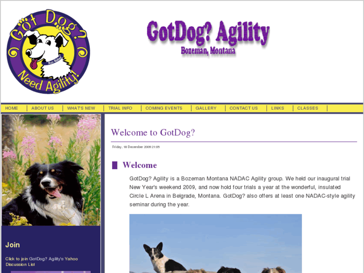 www.gotdogagility.com