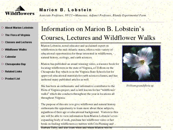 www.mblobstein.com