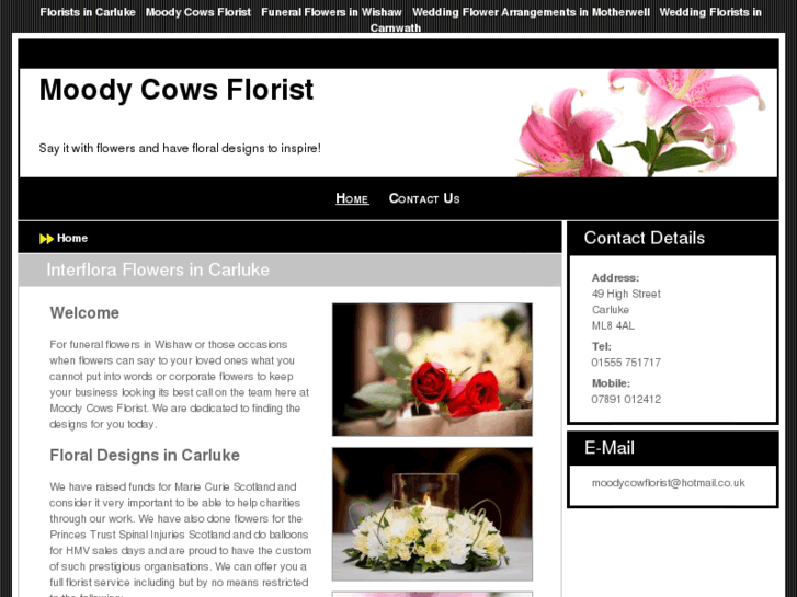 www.moodycowsflorist.com