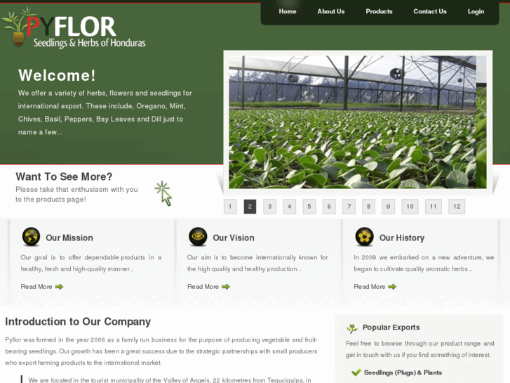 www.pyflor.com