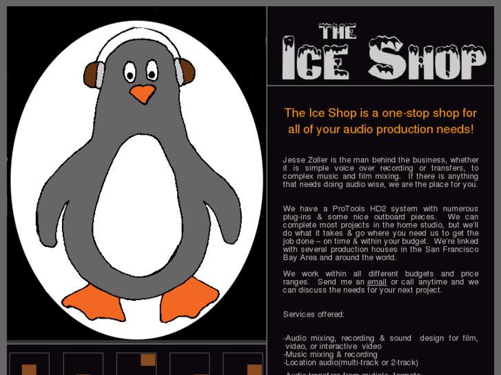 www.theiceshop.net